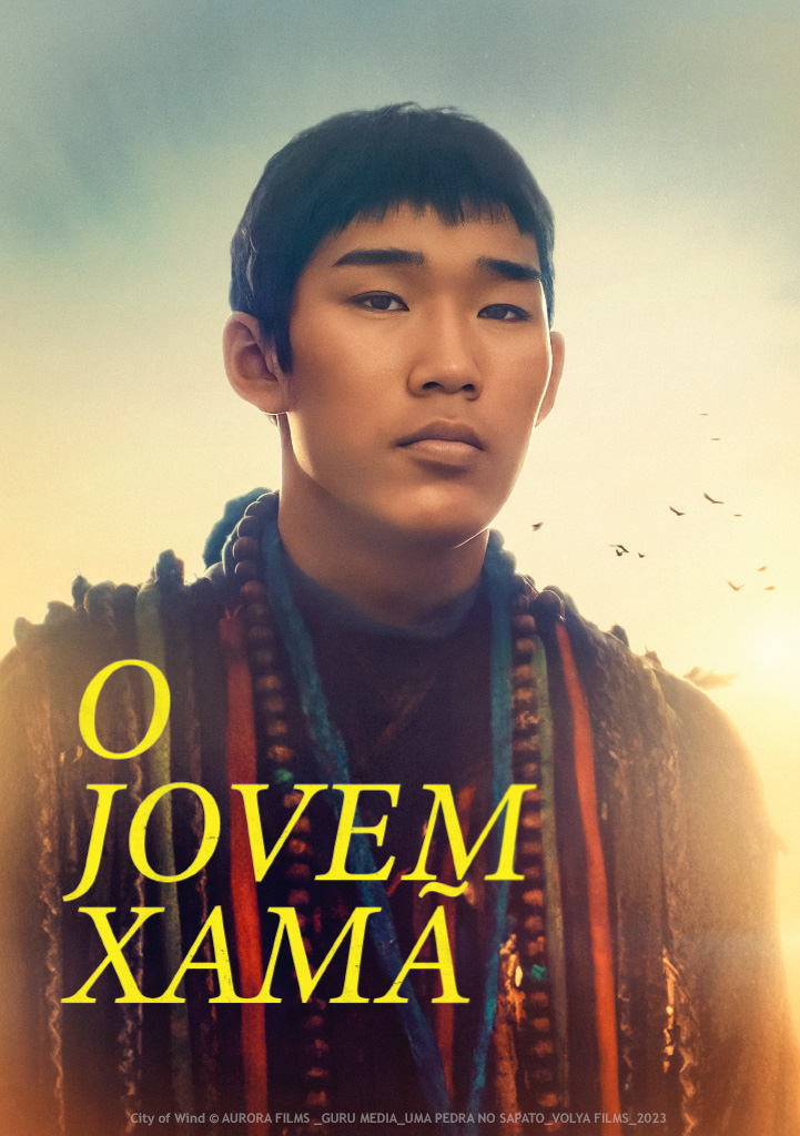 Capa O Jovem Xamã