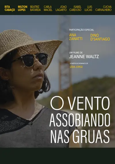 Capa O Vento Assobiando Nas Gruas