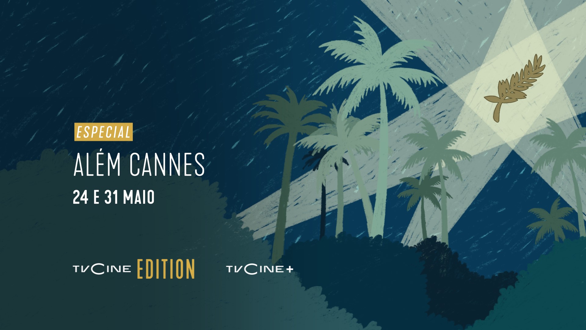 Capa undefined