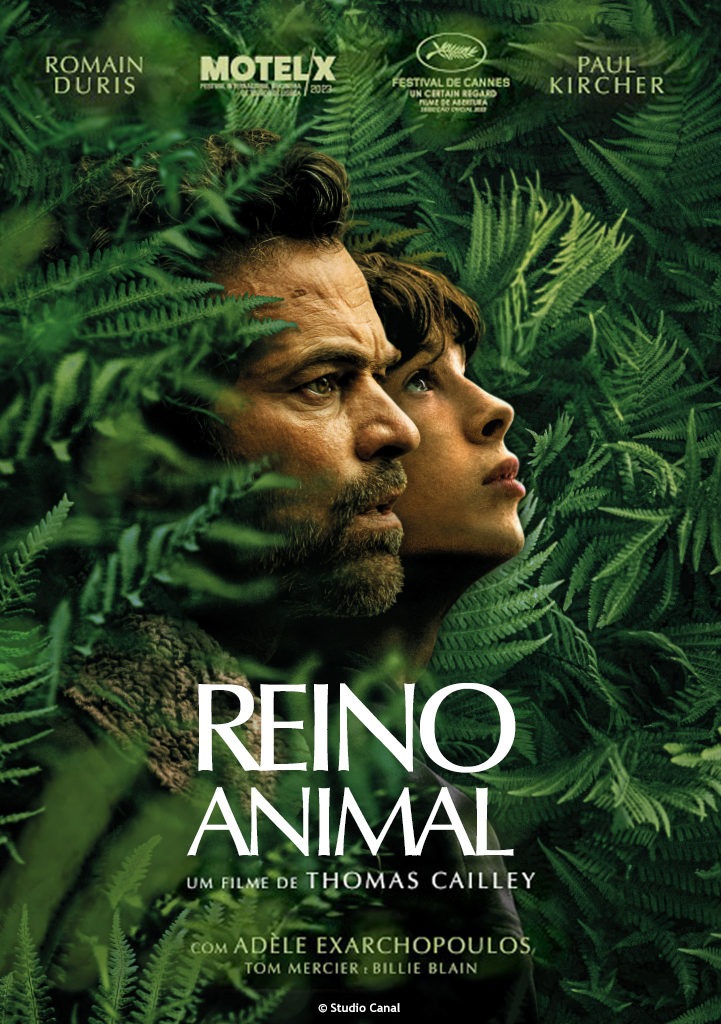 Capa Reino Animal