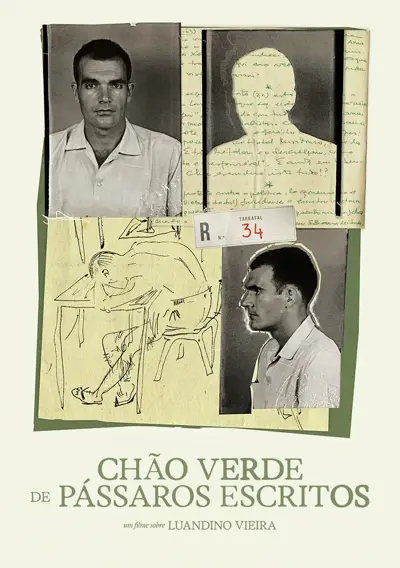 capa Chão Verde de Pássaros Escritos