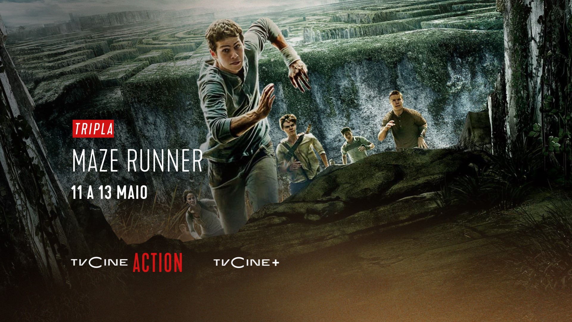 Capa undefined