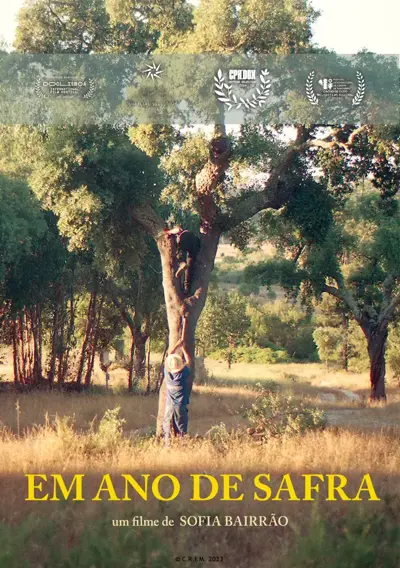 Capa Em Ano de Safra