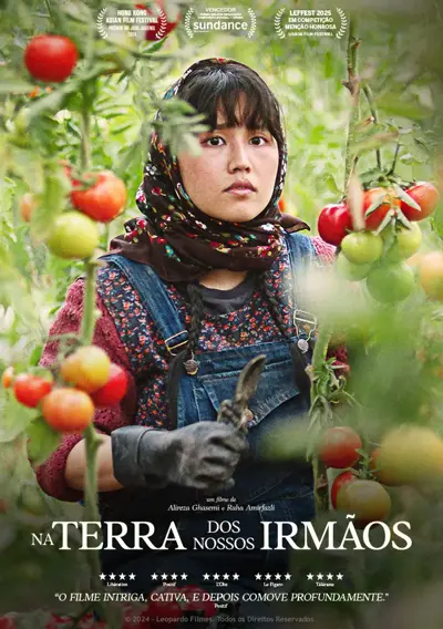 Capa Na Terra dos Nossos Irmãos