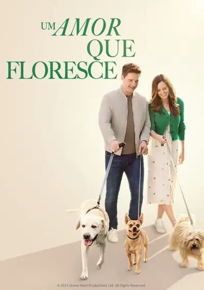 Capa Um Amor que Floresce